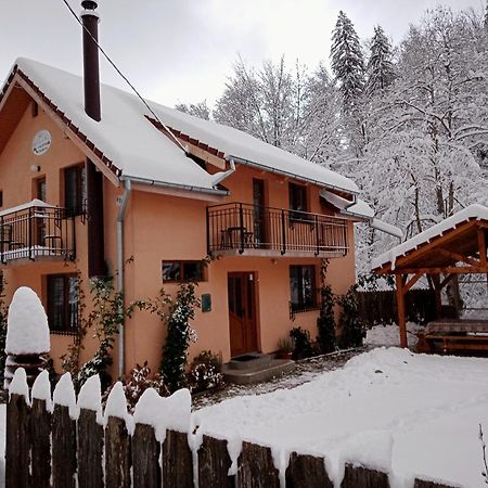 Casa Iulia & Matei Βίλα Cîrţişoara Εξωτερικό φωτογραφία