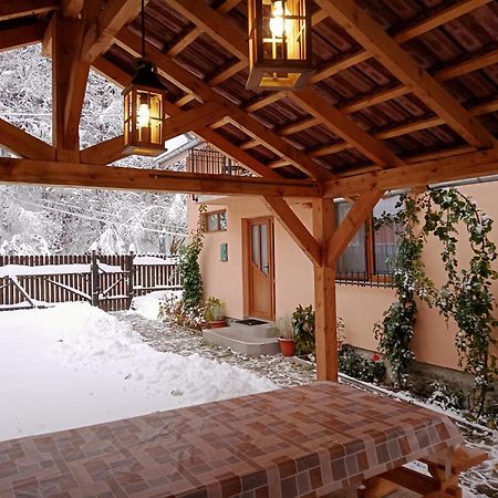 Casa Iulia & Matei Βίλα Cîrţişoara Εξωτερικό φωτογραφία