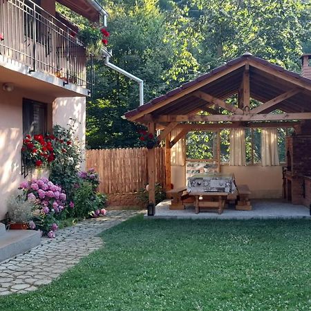 Casa Iulia & Matei Βίλα Cîrţişoara Εξωτερικό φωτογραφία