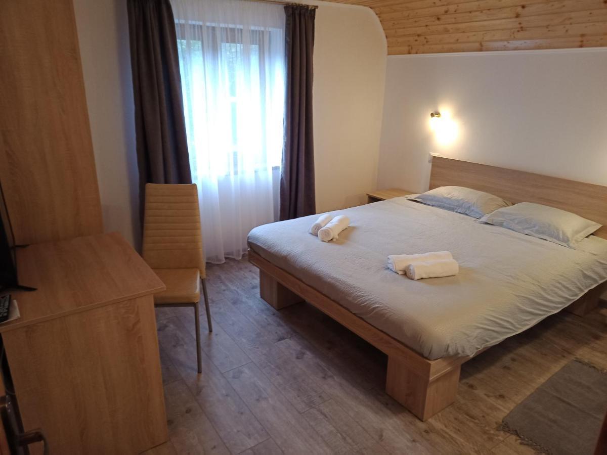 Casa Iulia & Matei Βίλα Cîrţişoara Εξωτερικό φωτογραφία