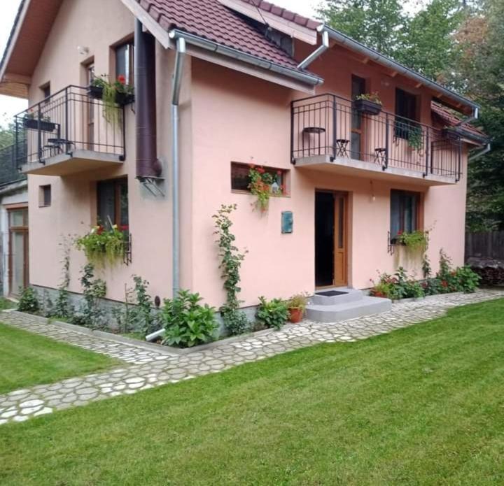 Casa Iulia & Matei Βίλα Cîrţişoara Εξωτερικό φωτογραφία