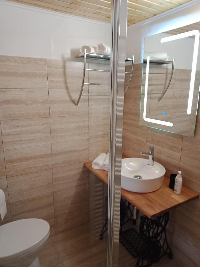 Casa Iulia & Matei Βίλα Cîrţişoara Εξωτερικό φωτογραφία