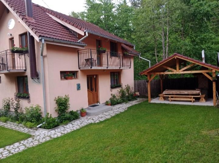 Casa Iulia & Matei Βίλα Cîrţişoara Εξωτερικό φωτογραφία