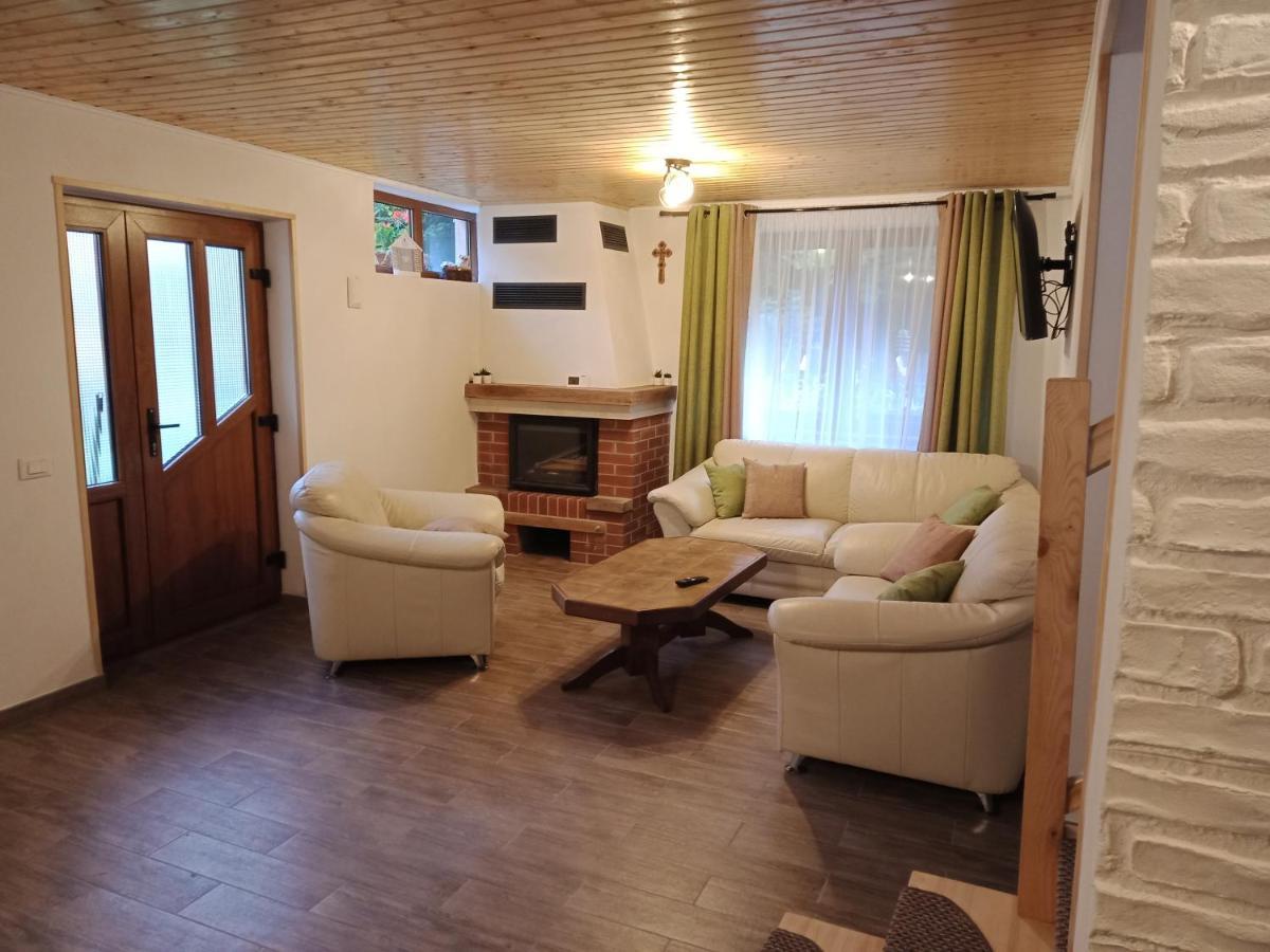 Casa Iulia & Matei Βίλα Cîrţişoara Εξωτερικό φωτογραφία