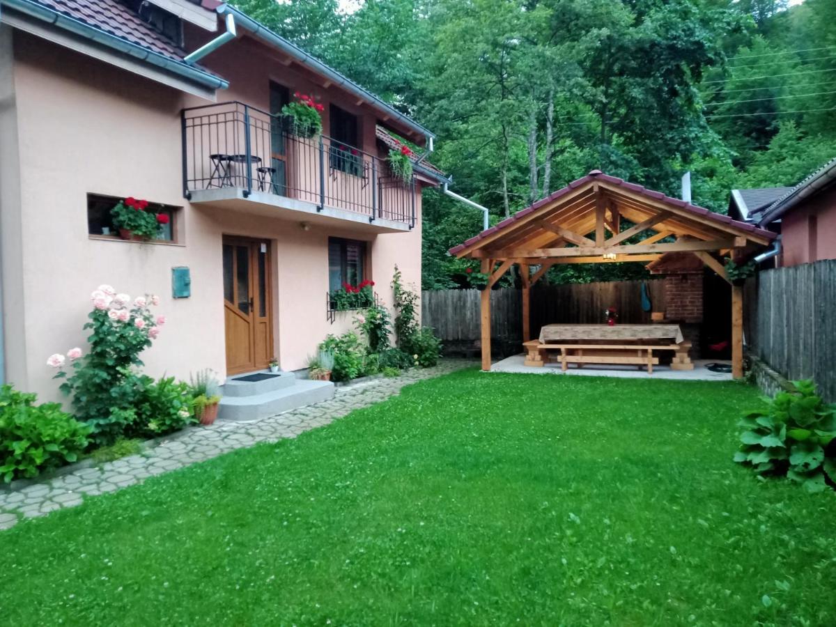 Casa Iulia & Matei Βίλα Cîrţişoara Εξωτερικό φωτογραφία