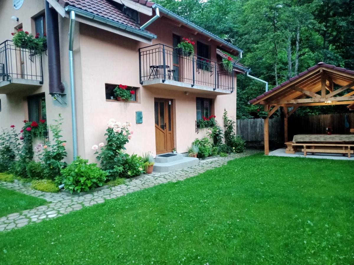 Casa Iulia & Matei Βίλα Cîrţişoara Εξωτερικό φωτογραφία