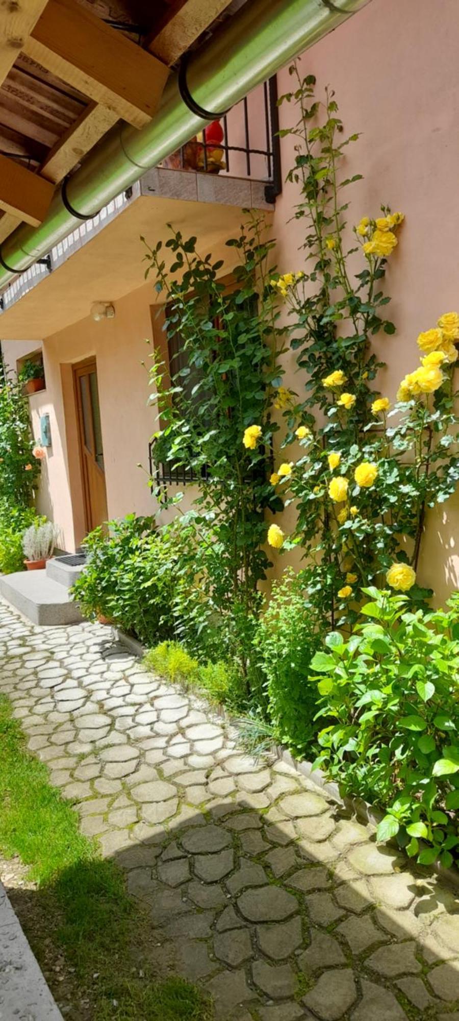 Casa Iulia & Matei Βίλα Cîrţişoara Εξωτερικό φωτογραφία