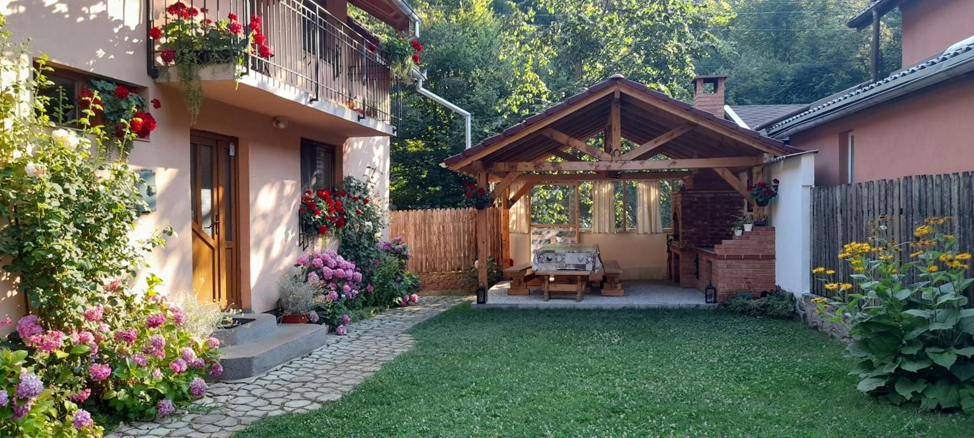 Casa Iulia & Matei Βίλα Cîrţişoara Εξωτερικό φωτογραφία